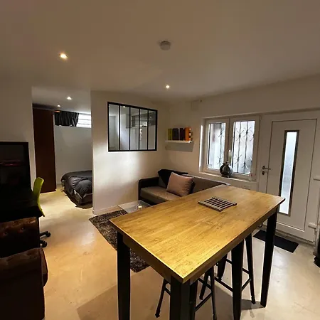 Industriel Loft Neuf Avec Parking Prive Apartment Reichstett