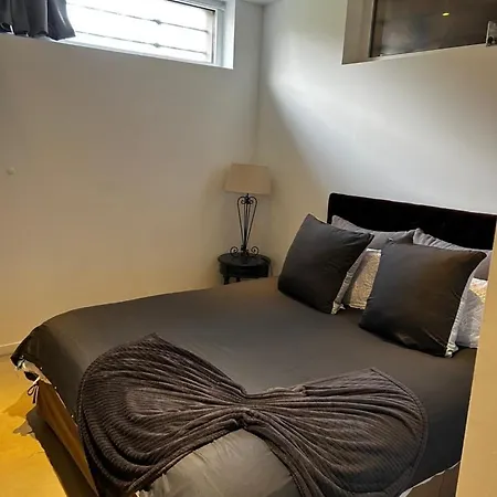 Industriel Loft Neuf Avec Parking Prive *