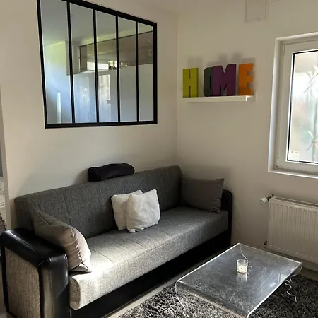 Apartment Industriel Loft Neuf Avec Parking Prive Reichstett