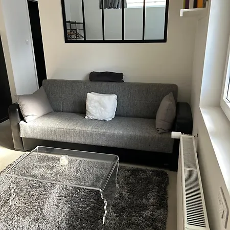 Industriel Loft Neuf Avec Parking Prive *