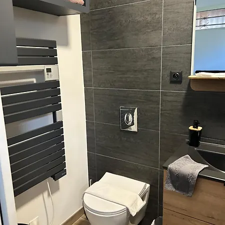Industriel Loft Neuf Avec Parking Prive Apartment Reichstett